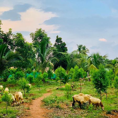 Willa Eco Farm Bengaluru Zewnętrze zdjęcie
