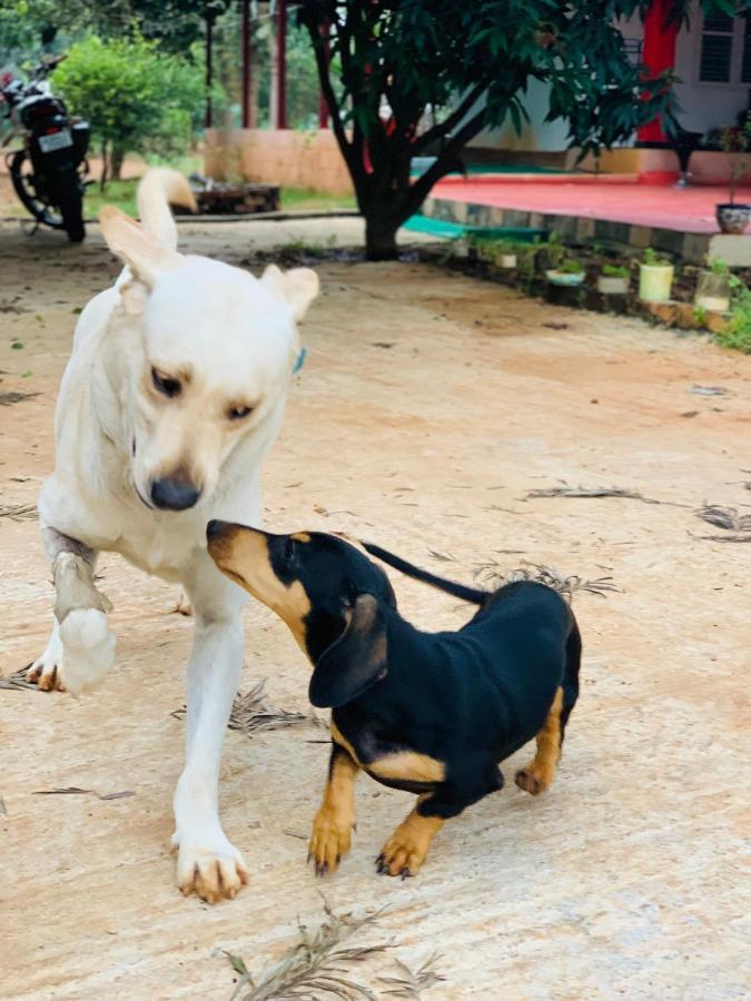 Willa Eco Farm Bengaluru Zewnętrze zdjęcie