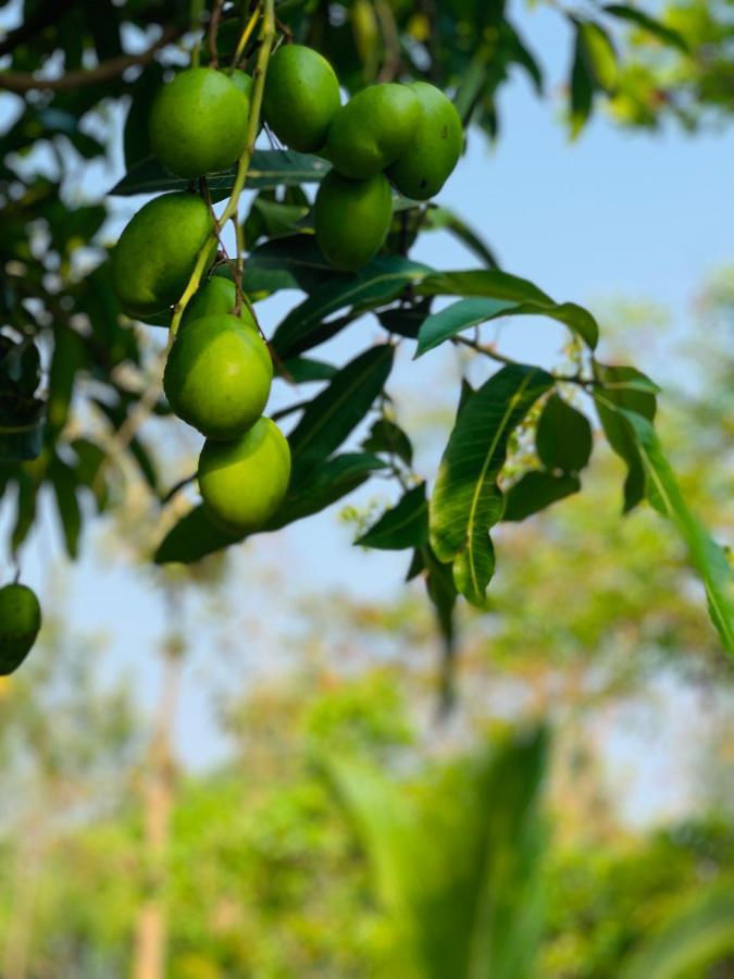 Willa Eco Farm Bengaluru Zewnętrze zdjęcie