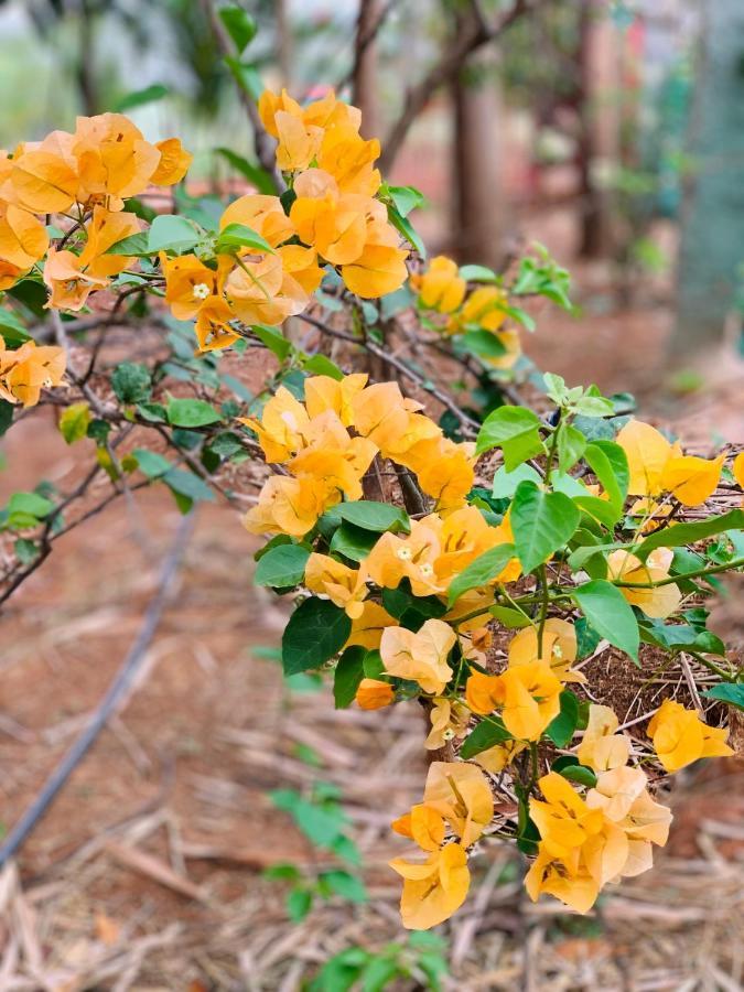 Willa Eco Farm Bengaluru Zewnętrze zdjęcie