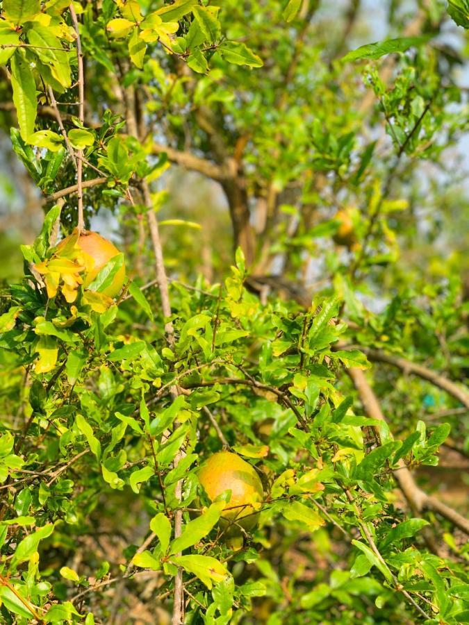 Willa Eco Farm Bengaluru Zewnętrze zdjęcie