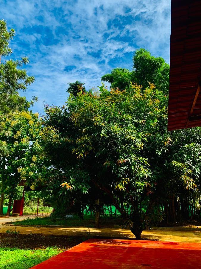 Willa Eco Farm Bengaluru Zewnętrze zdjęcie