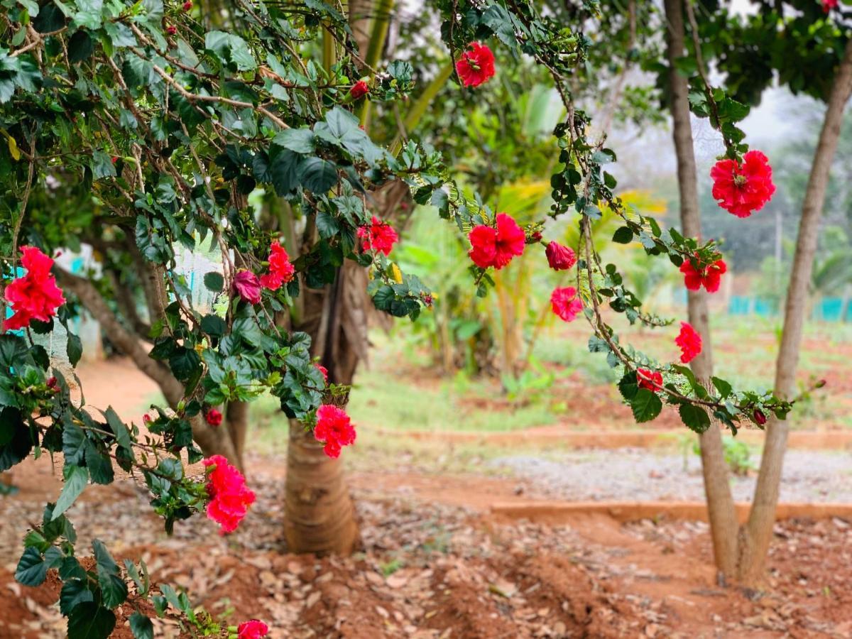 Willa Eco Farm Bengaluru Zewnętrze zdjęcie