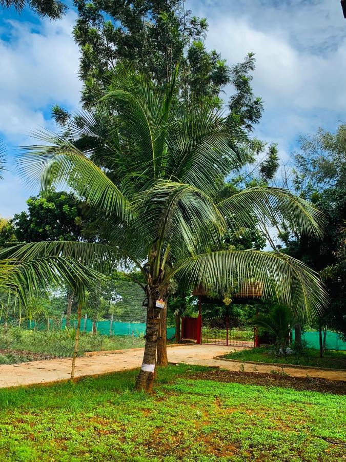 Willa Eco Farm Bengaluru Zewnętrze zdjęcie