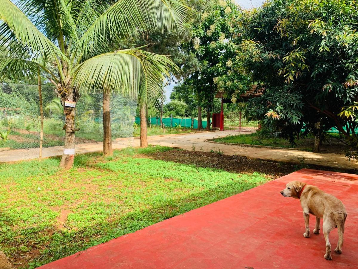 Willa Eco Farm Bengaluru Zewnętrze zdjęcie