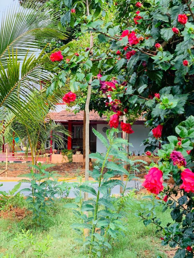 Willa Eco Farm Bengaluru Zewnętrze zdjęcie