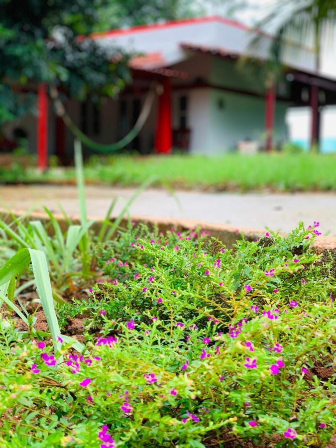 Willa Eco Farm Bengaluru Zewnętrze zdjęcie